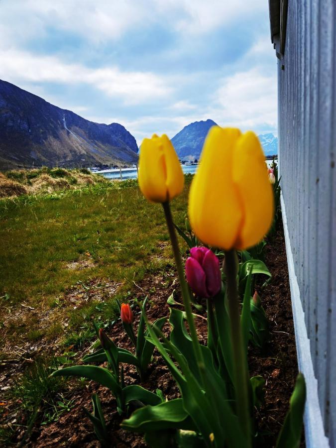 Banpim Beachside Lofoten Рамберг Экстерьер фото