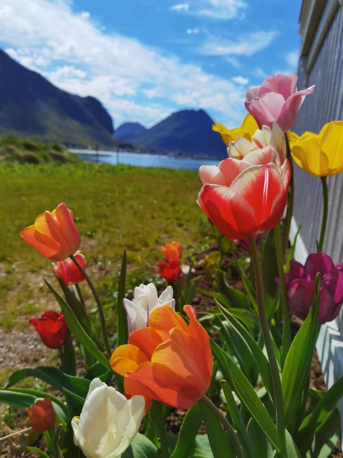 Banpim Beachside Lofoten Рамберг Экстерьер фото