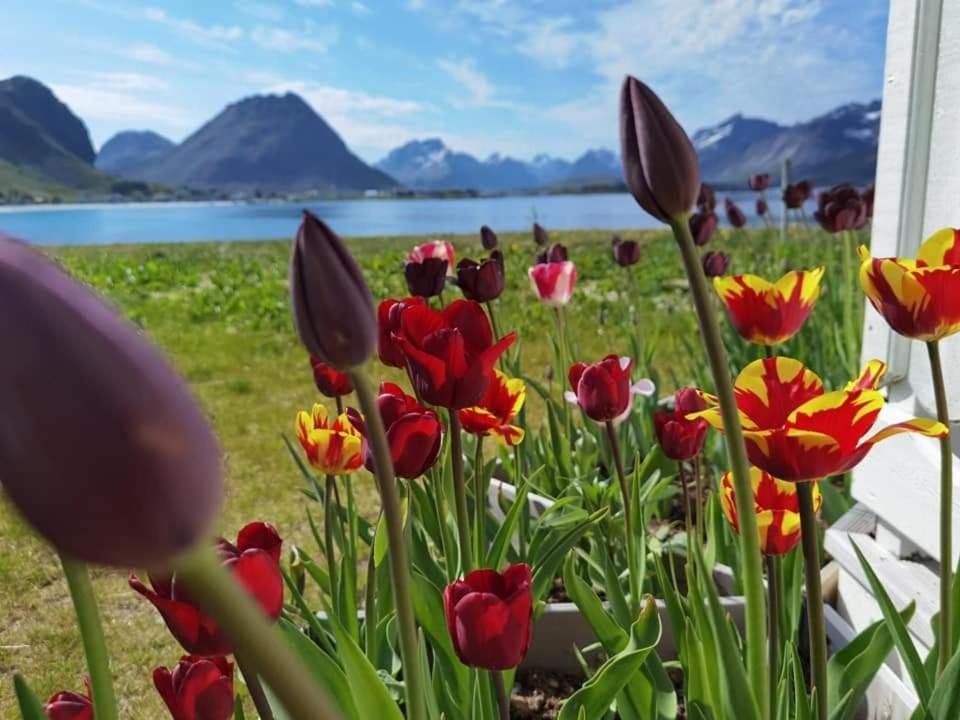 Banpim Beachside Lofoten Рамберг Экстерьер фото